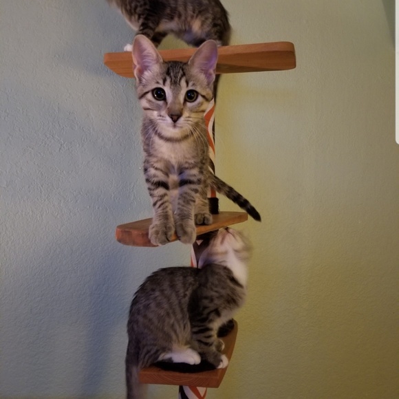 Hi!  Meet René. 🍭🍬🧵 - Picture 4 of 10